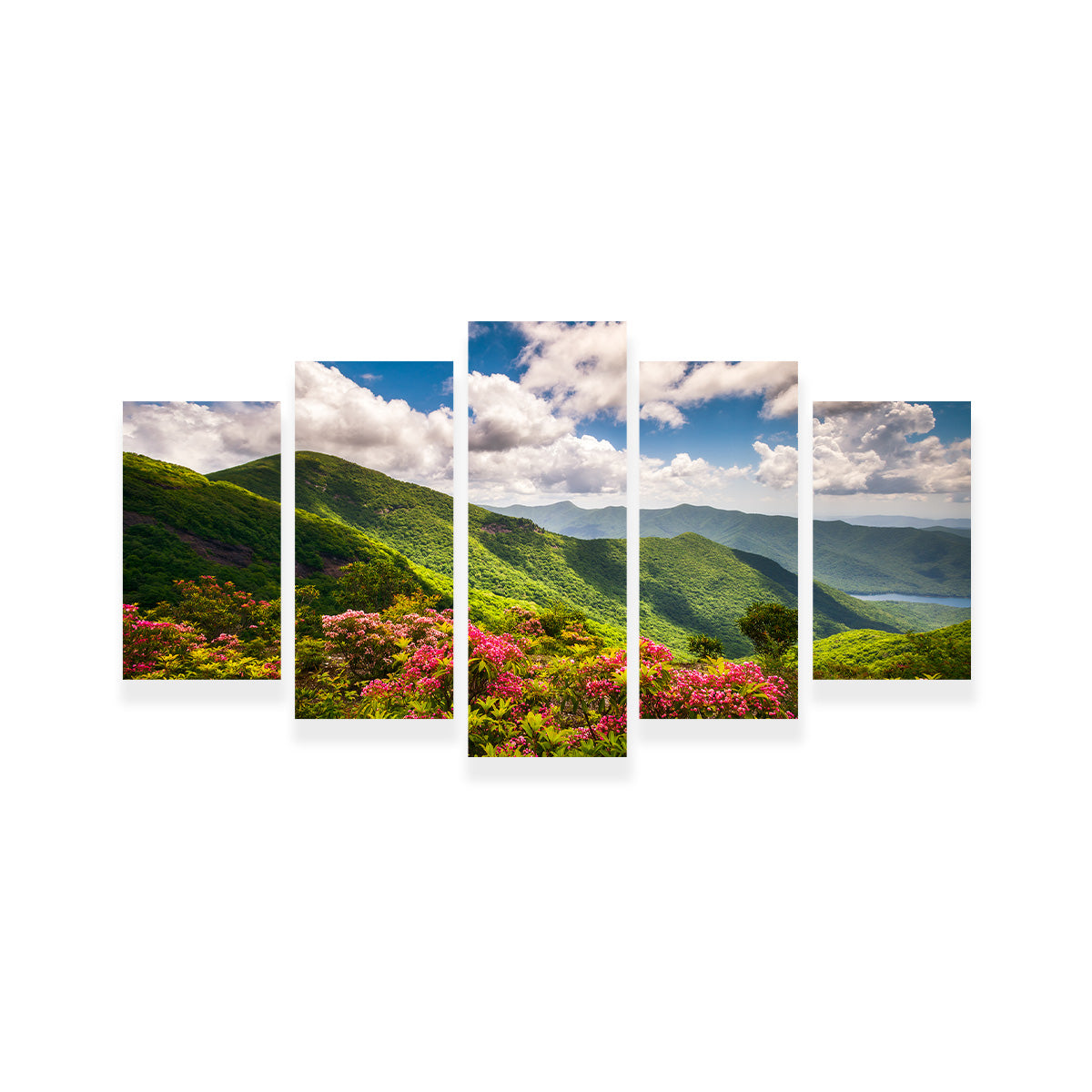 Stunning Blue Ridge Parkway Wall Art for Your Home Decor