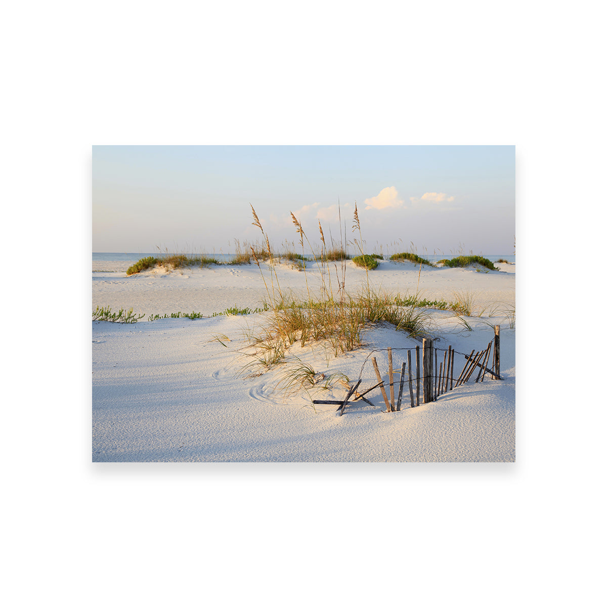 Stunning Sand Dunes and Sea Oats Wall Art for Your Home Decor