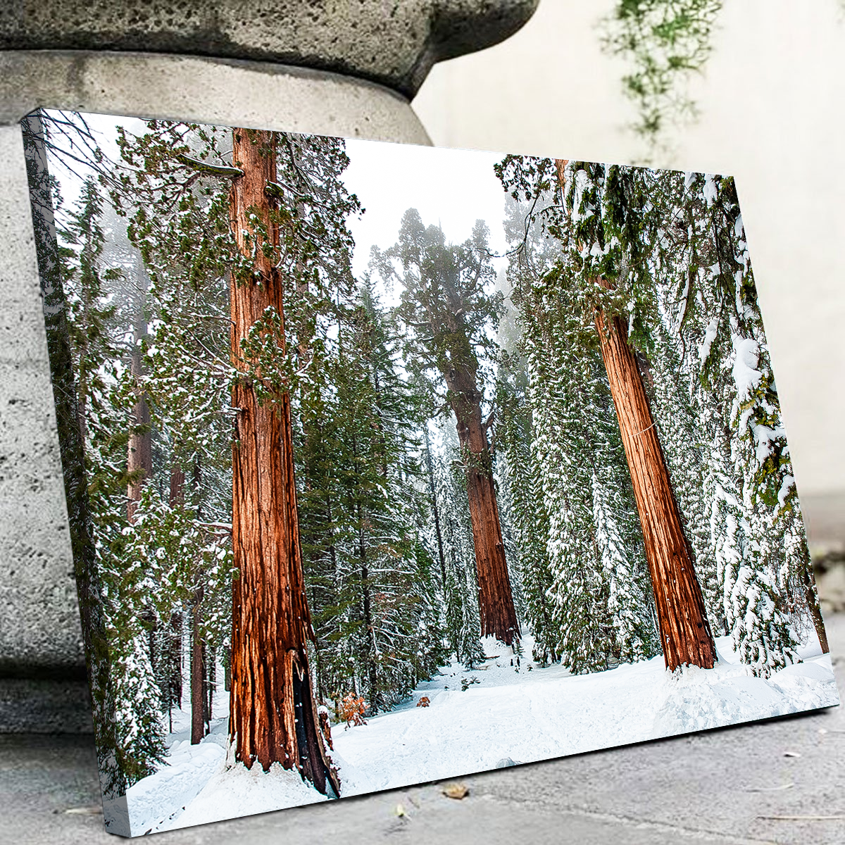 Kyle Sherry's Exquisite General Wall Art