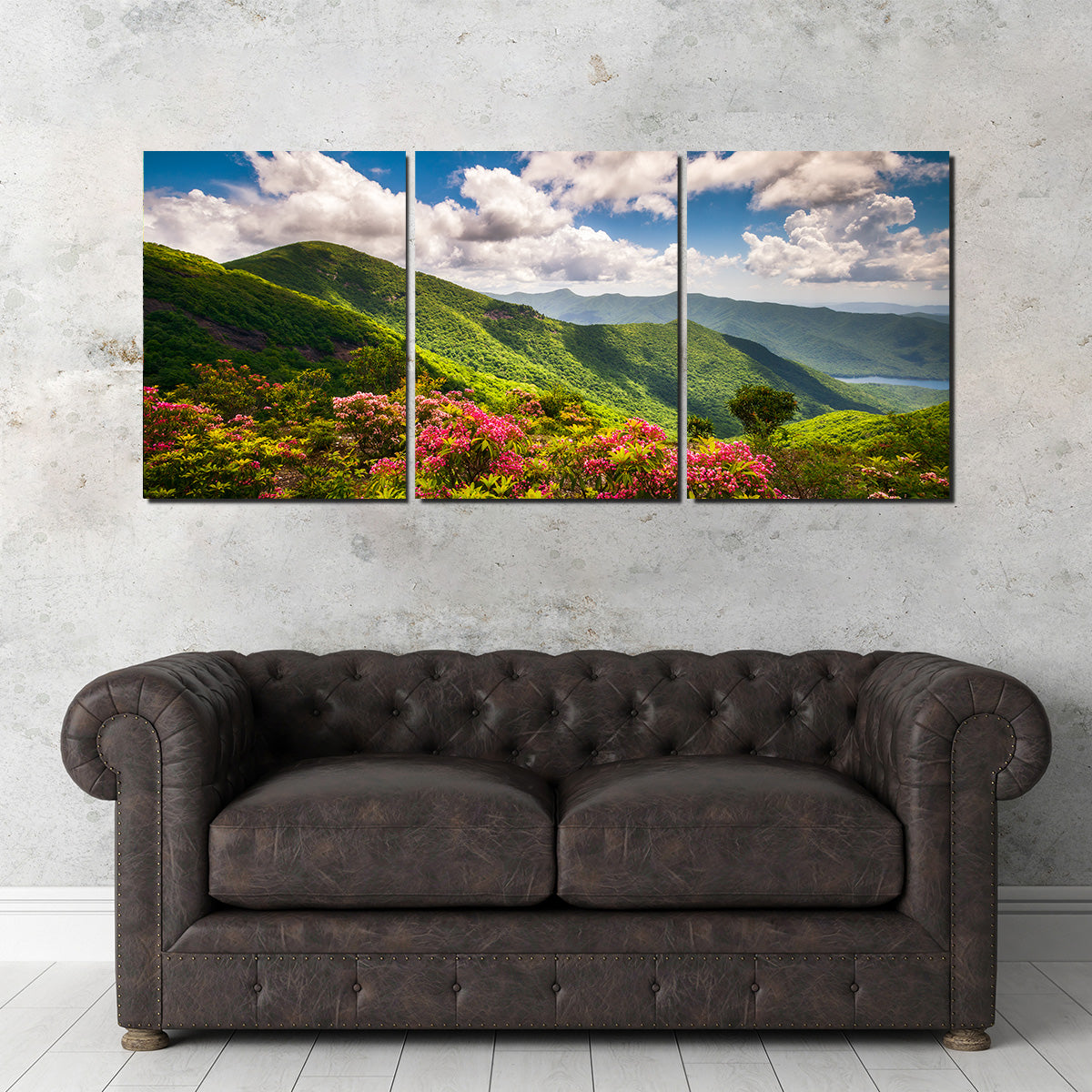Stunning Blue Ridge Parkway Wall Art for Your Home Decor