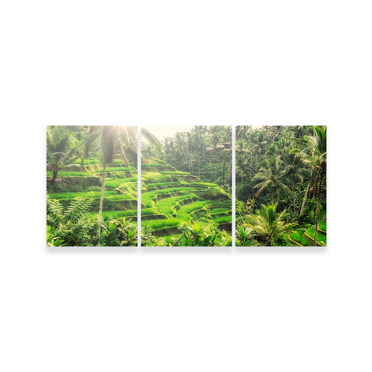 Tegallalang Wall Art - Premium Handmade Canvas with Sustainable Pine Wood Frames