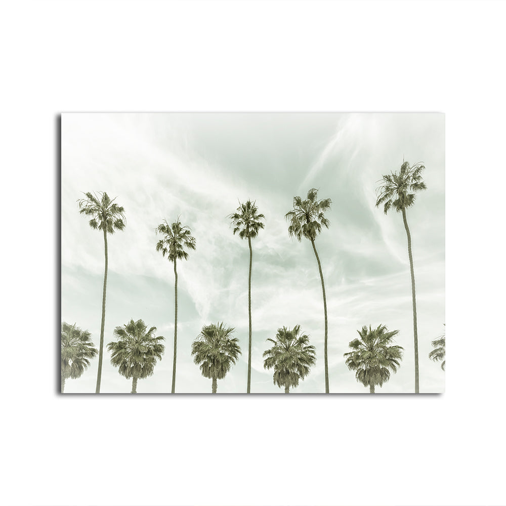 Stunning Palm Trees and Clouds Wall Art by Melanie Viola