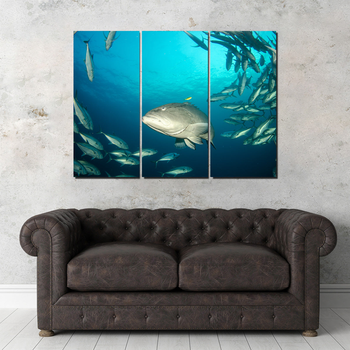 Exquisite Sea of Cortez Grouper Wall Art