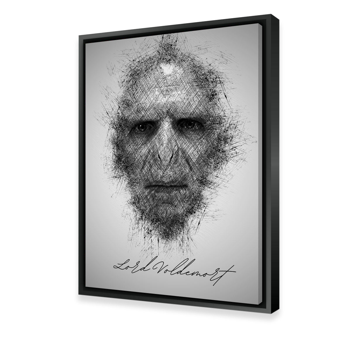 Magical Lord Voldemort Wall Art for Enthusiasts