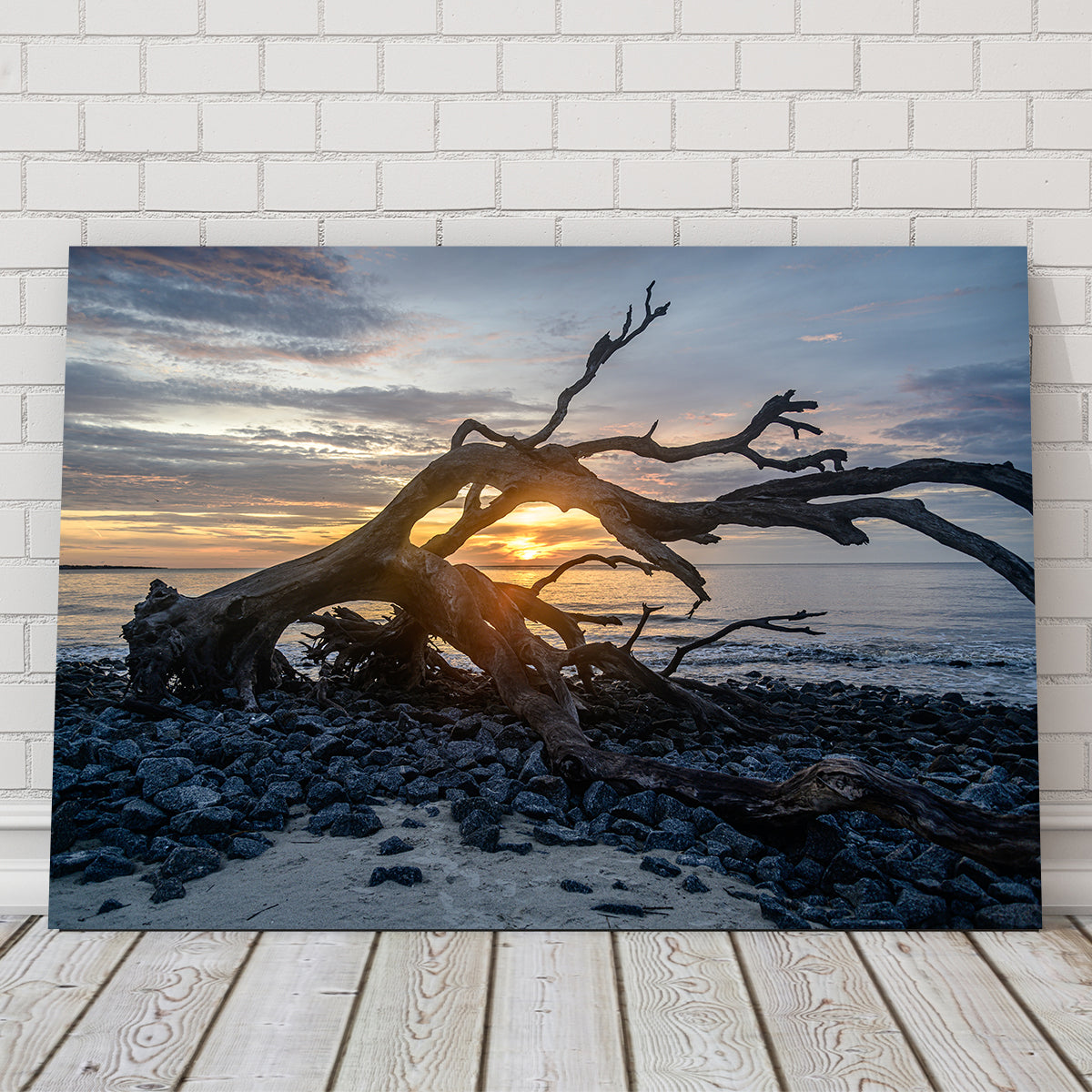 Exquisite Jekyll Island, Georgia Wall Art by Barry Pack