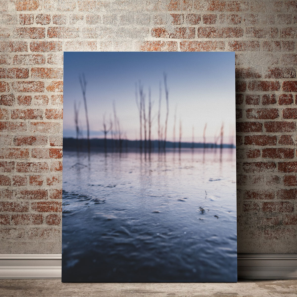 Exquisite Blurred Isolation Wall Art by Dennis Maida
