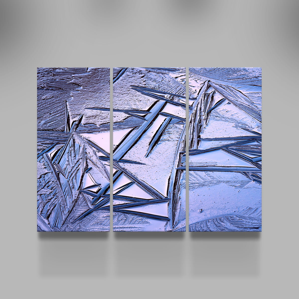 Bog Ice Morning Reflection Stunning Wall Art by Shaun Mayer