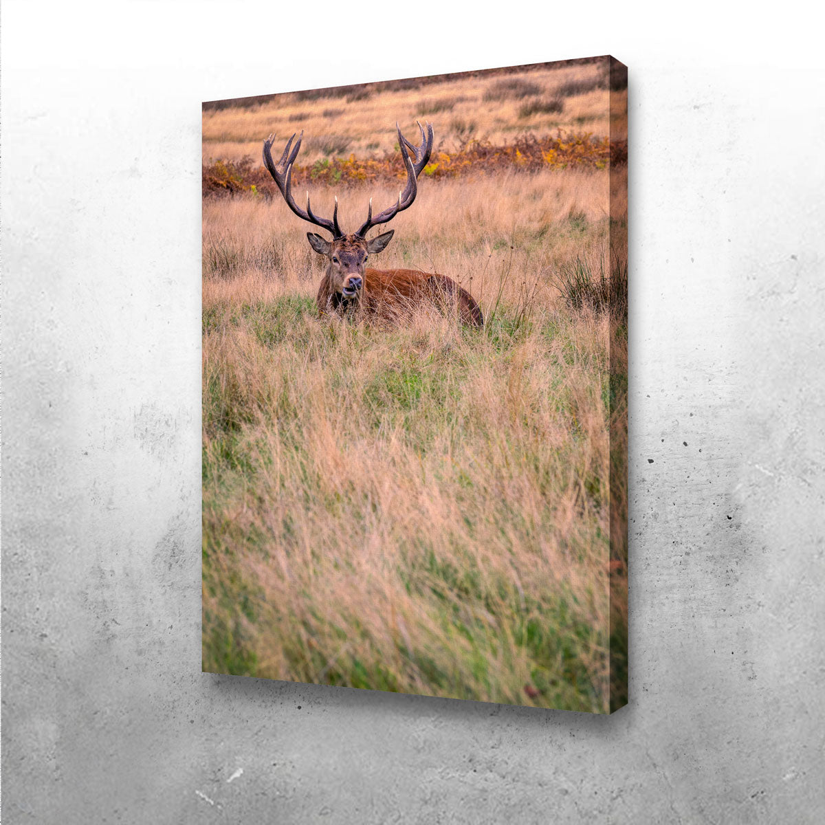 Stunning Richmond Park Wall Art by Mike Cotton