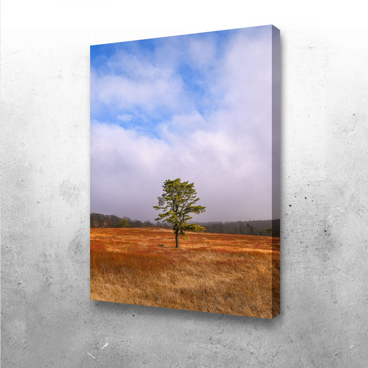 Enchanting Distant Fog Wall Art by Dennis Maida