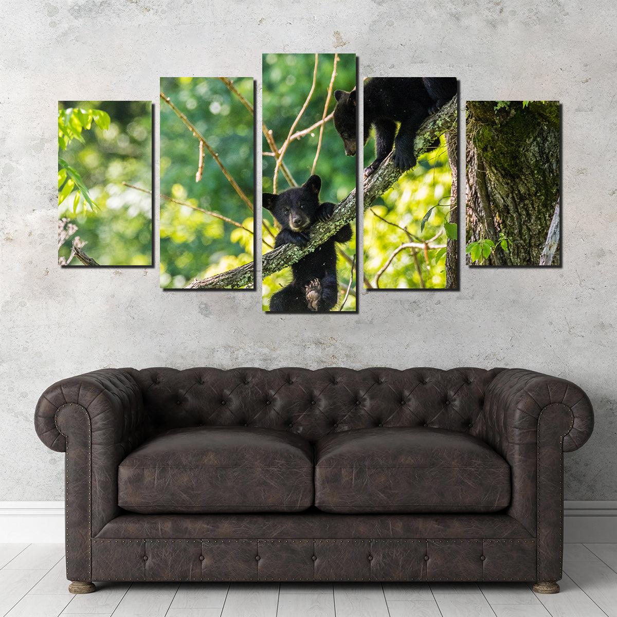 Adorable Black Bear Cubs Playing Wall Art - Perfect for Home Decor