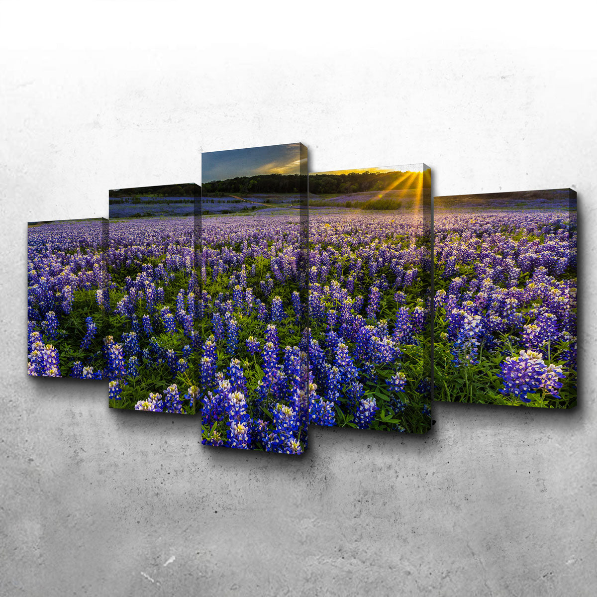 Gorgeous Texas Bluebonnet Field at Muleshoe Bend Wall Art for Home Decor