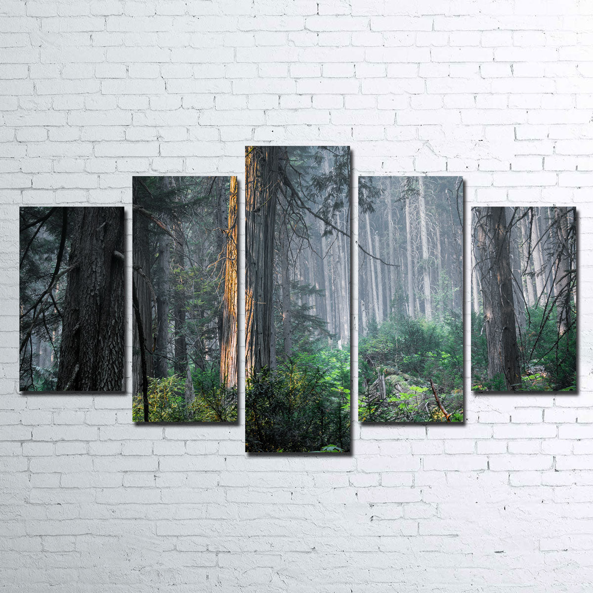 Exquisite Revelstoke Wall Art by Mike Cotton