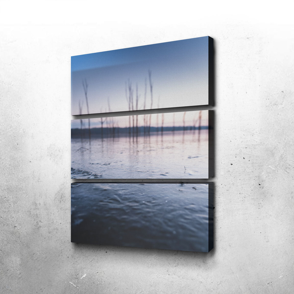 Exquisite Blurred Isolation Wall Art by Dennis Maida