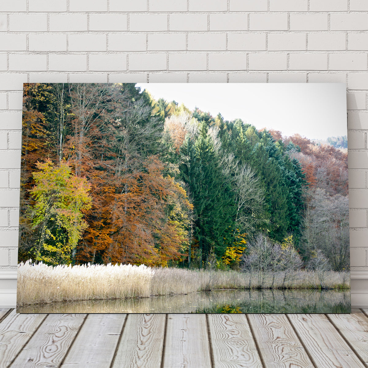 Exquisite Seasons Wall Art by David Campbell
