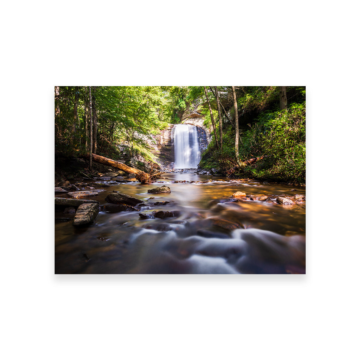 Looking Glass Falls, North Carolina Stunning Wall Art by Barry Pack
