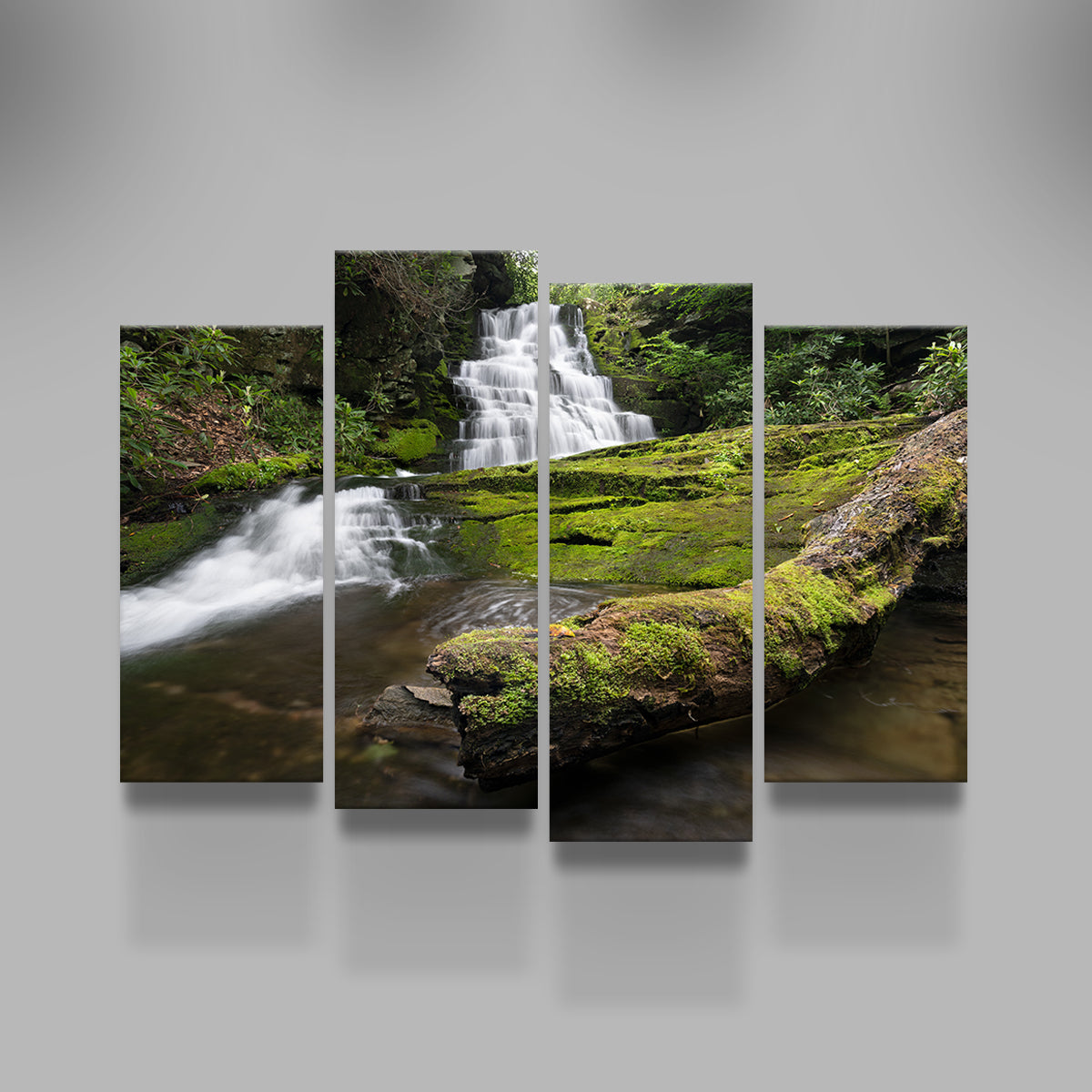 Stunning Rattlesnake Falls Wall Art by Shaun Mayer