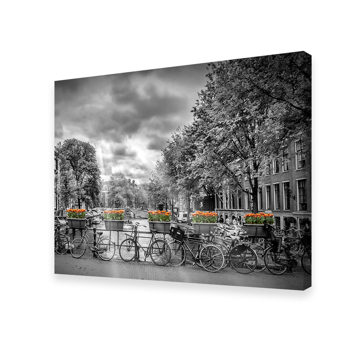Exquisite Amsterdam Wall Art by Melanie Viola