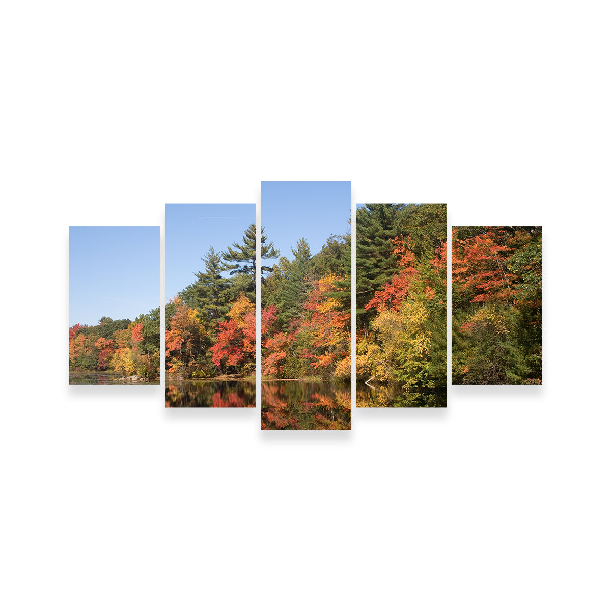 Stunning Harold Parker State Park Wall Art for Home Decor