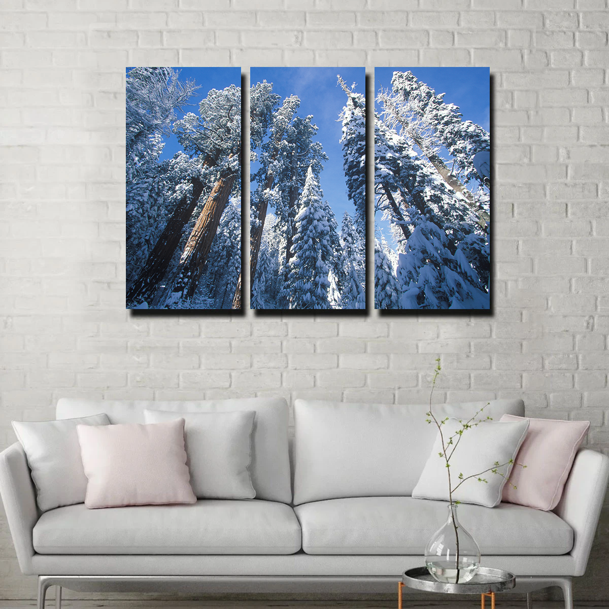 Breathtaking Redwoods Covered in Snow Wall Art for Your Home