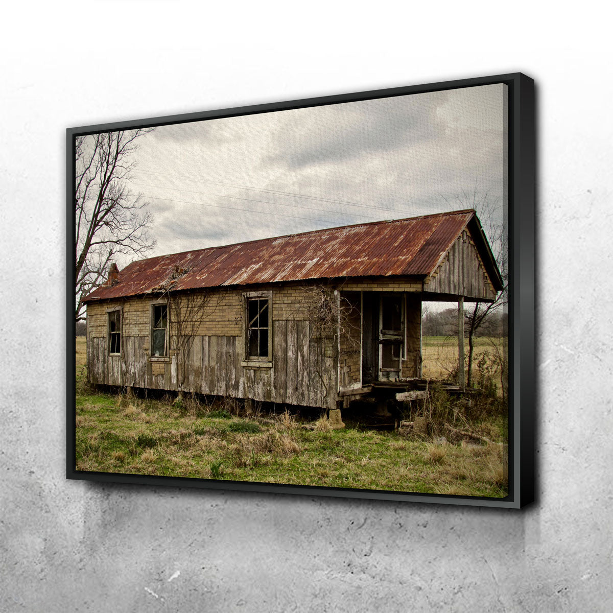 Louisiana Abandoned Cabin Wall Art by David Campbell - Museum Quality Canvas