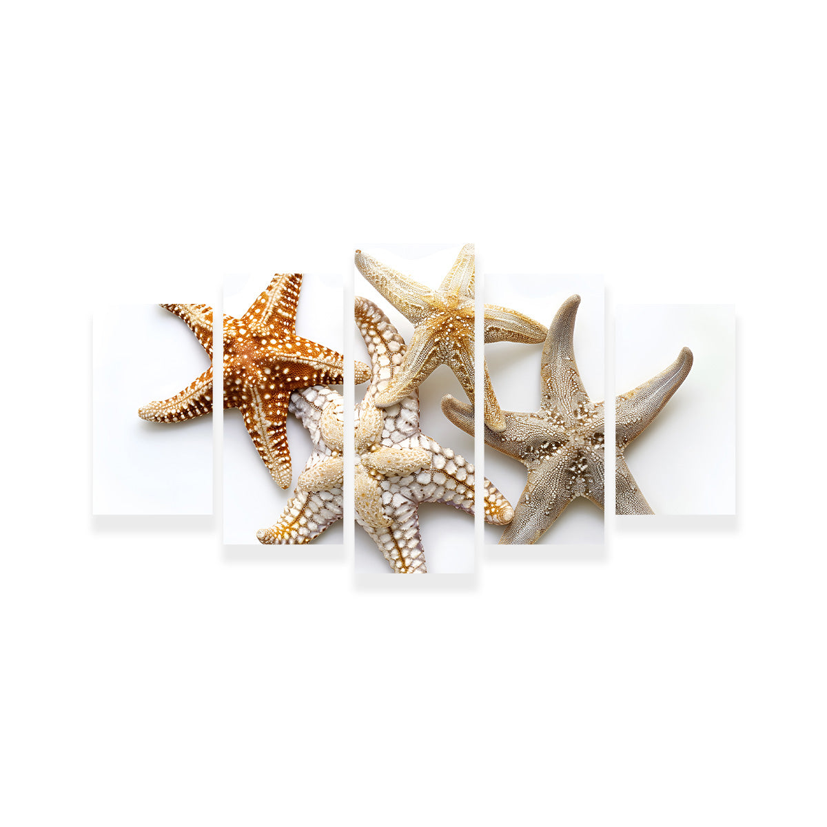 Gorgeous Starfishes Wall Art for Stunning Home Decor