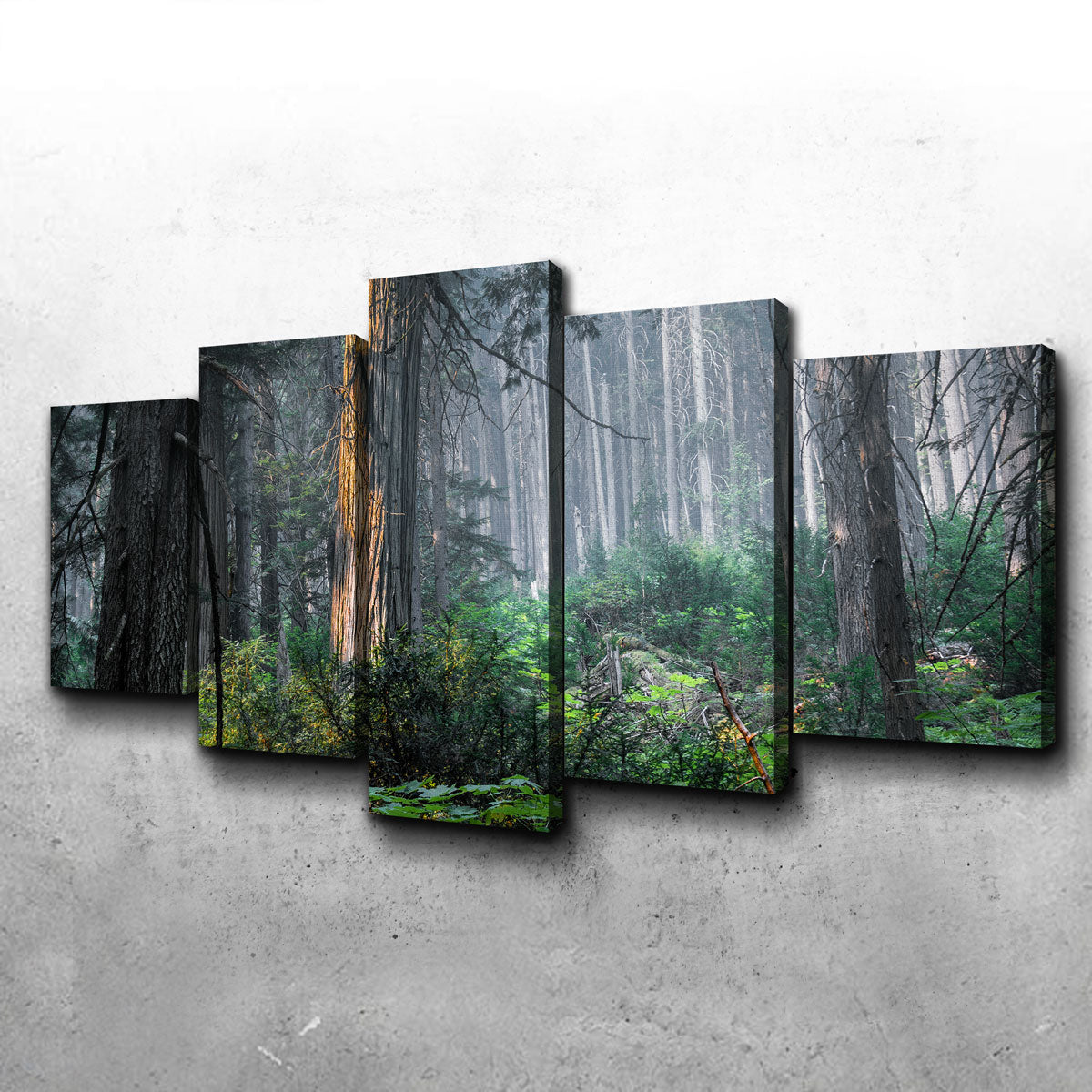 Exquisite Revelstoke Wall Art by Mike Cotton