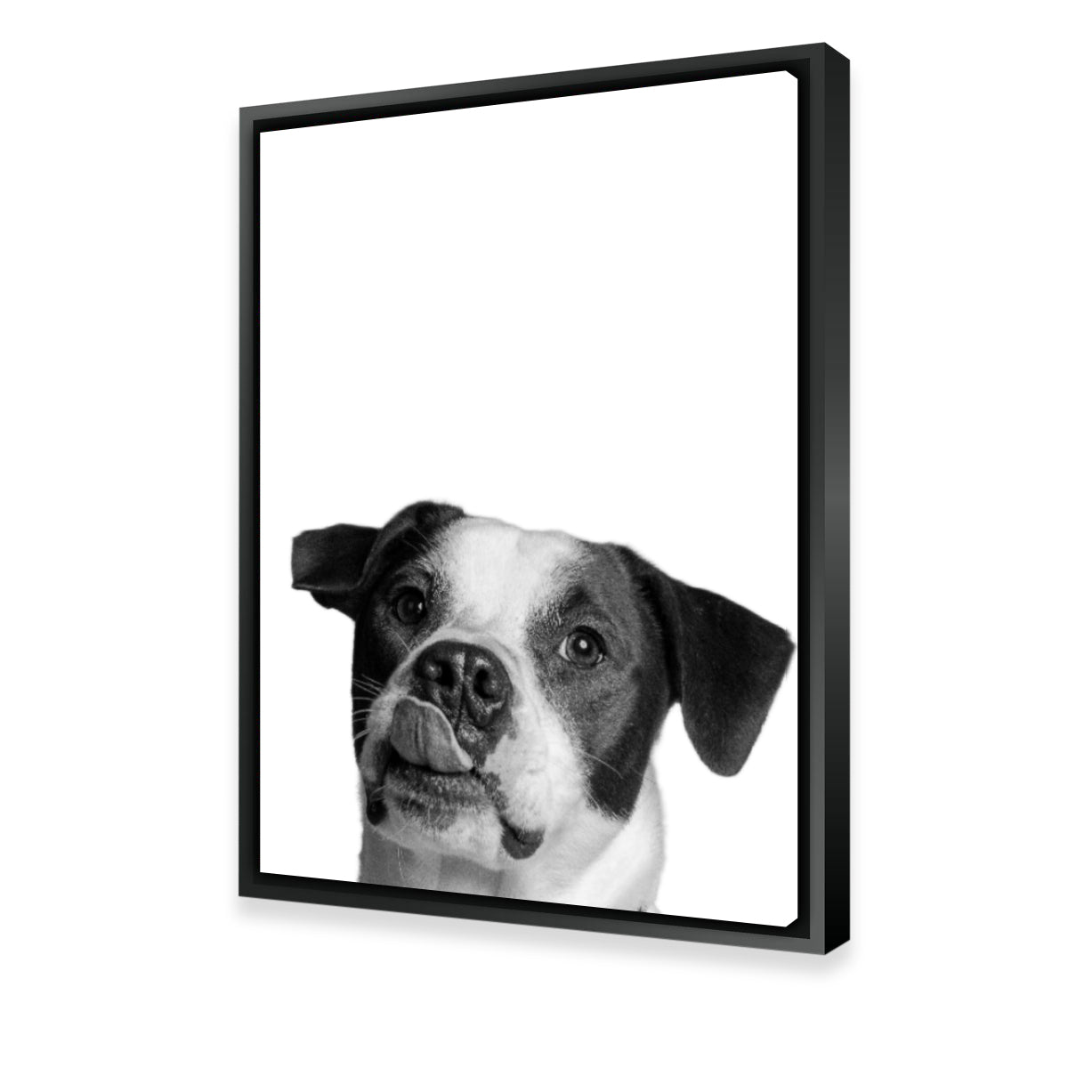 Stylish Dog Wall Art by Lawisi