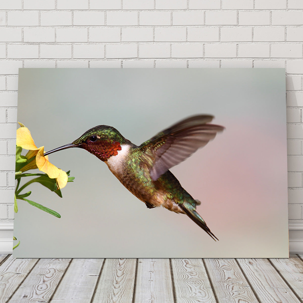 Exquisite Ruby Throated Hummingbird Wall Art for Stunning Decor
