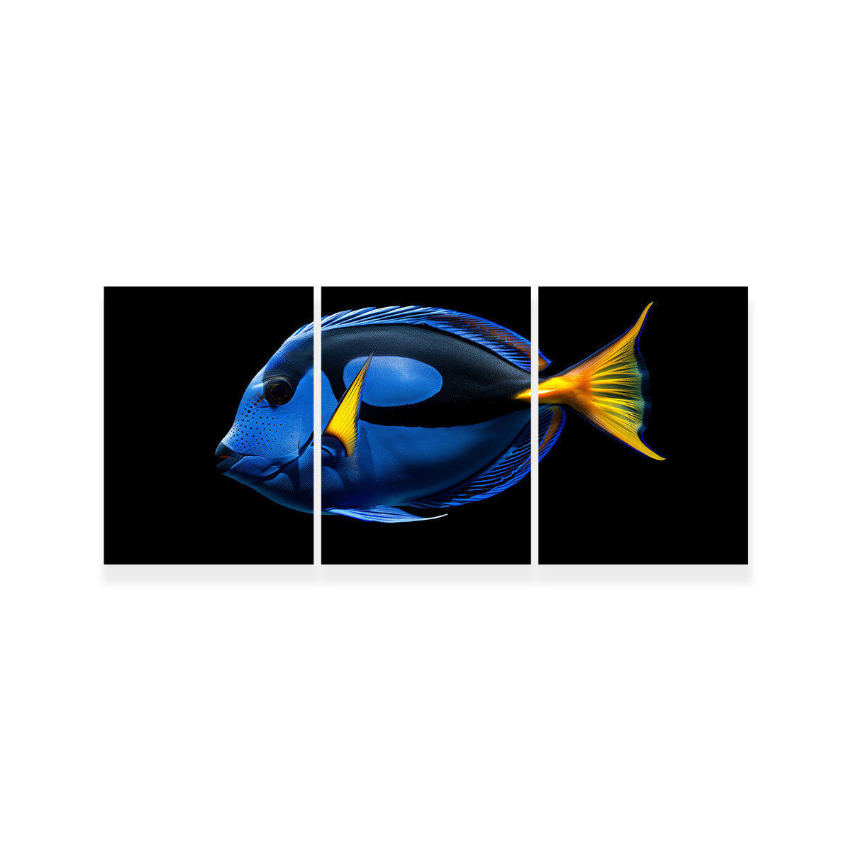 Stunning Regal Blue Tang Fish Wall Art for Home Decor
