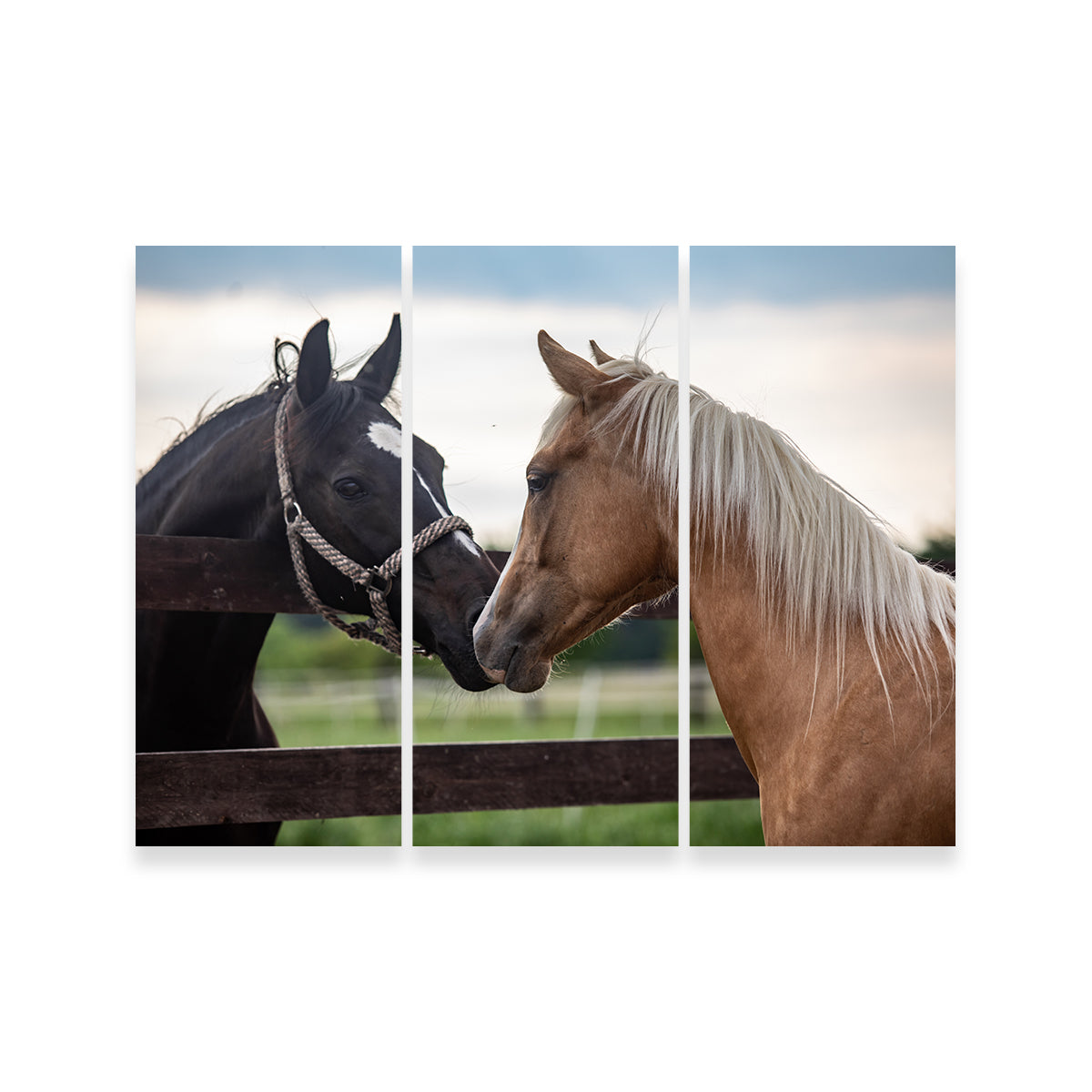 Exquisite Quarter Horses Wall Art for Stunning Decor
