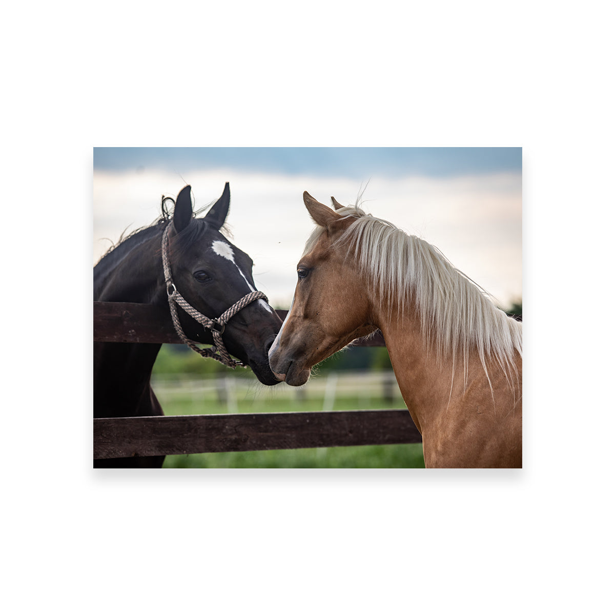 Exquisite Quarter Horses Wall Art for Stunning Decor