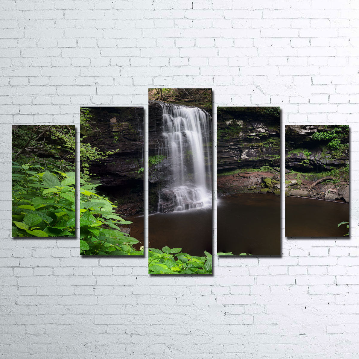 Stunning Green Eye Wall Art by Shaun Mayer