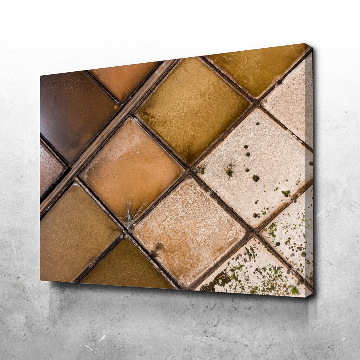 Enchanting Desolate Fields Wall Art by Karolis Janulis
