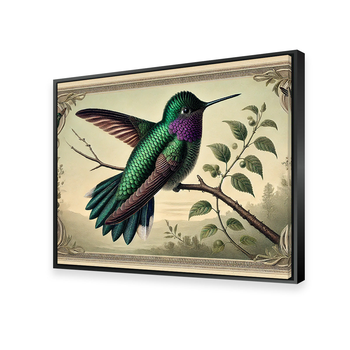 Stunning JJ Audubon's Style Hummingbird Print Wall Art for Home Decor