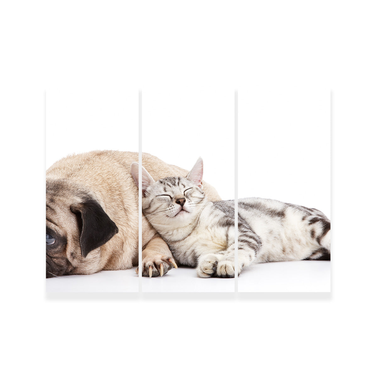 Adorable Pug and Cat Wall Art for Home Decor