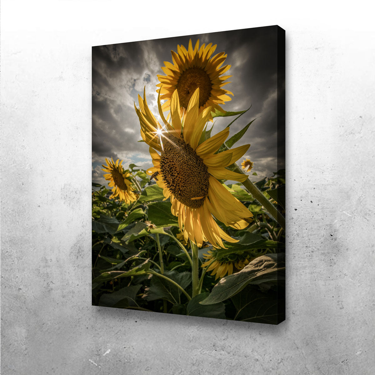 Stunning Cloudy Sunflowers Wall Art for Your Home Decor