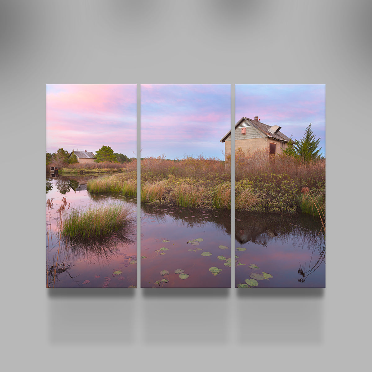 Beautiful Spring in the Bogs Wall Art by Shaun Mayer