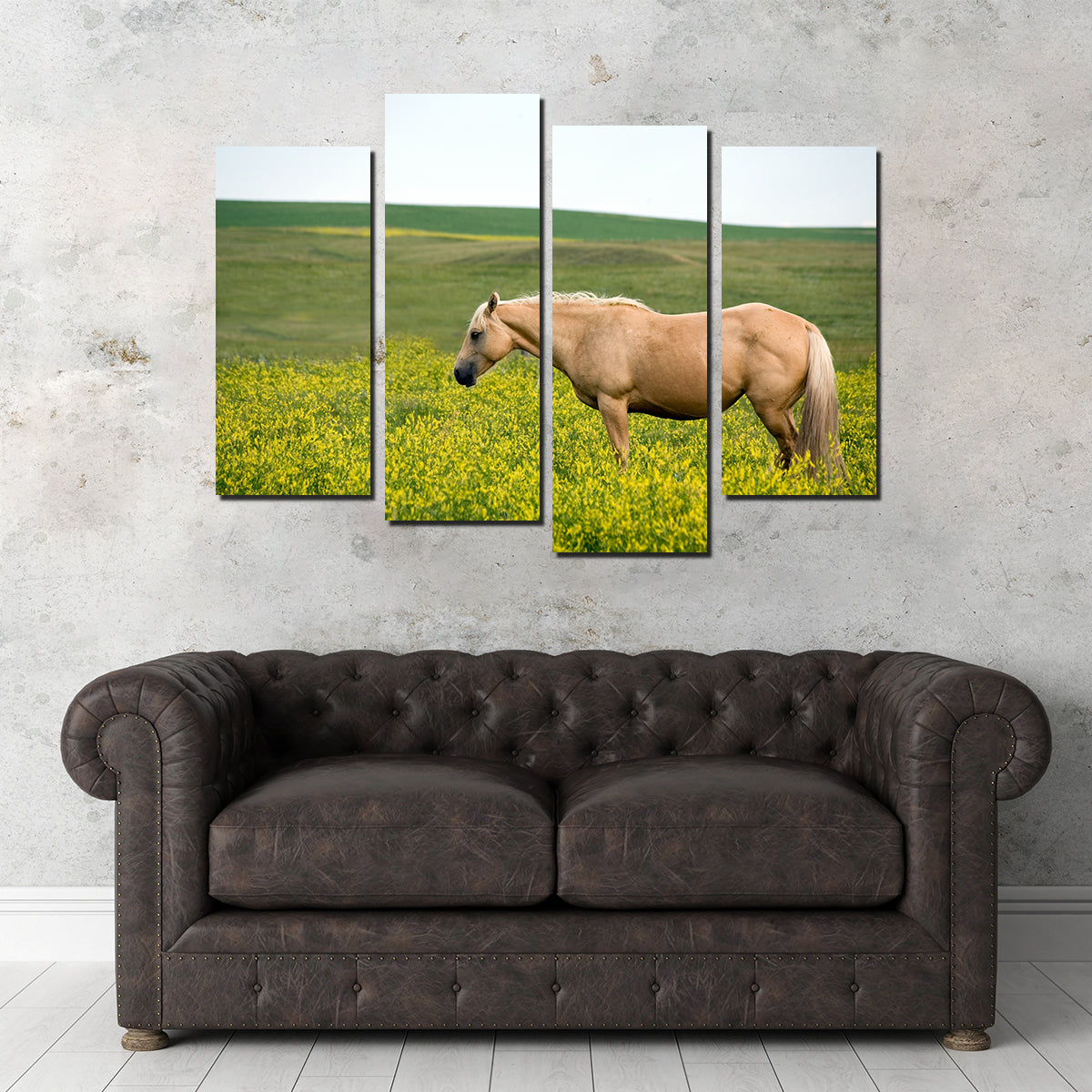 Stunning Palomino Quarter Horse Wall Art for Your Home Decor
