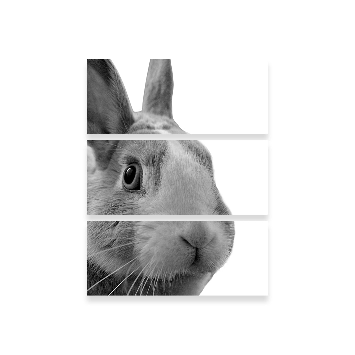 Charming Funny Rabbit Wall Art by Lawisi