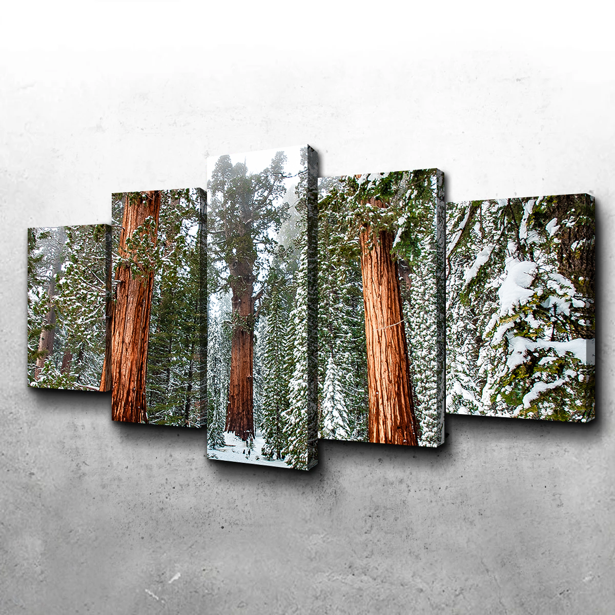 Kyle Sherry's Exquisite General Wall Art