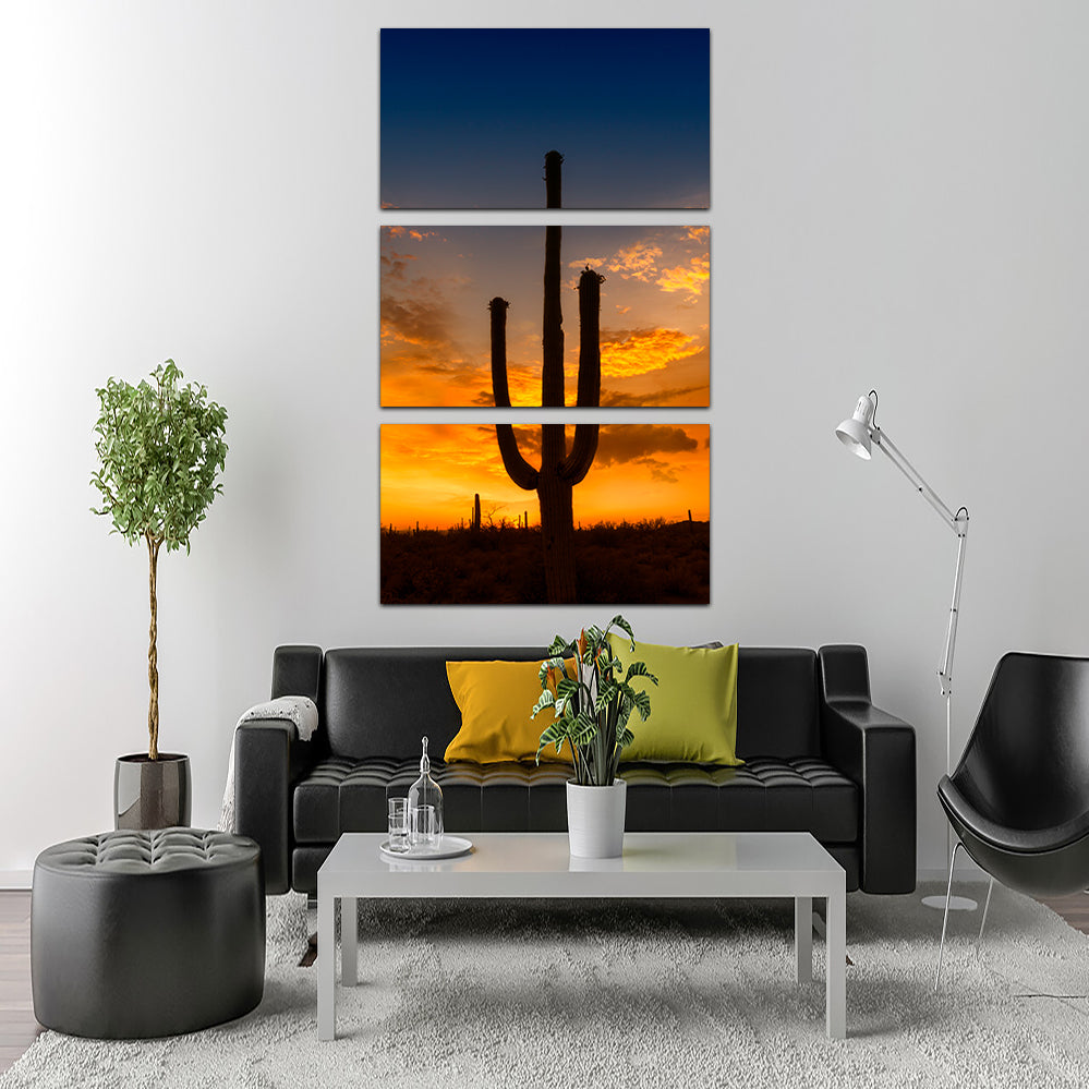 Breathtaking Saguaro National Park Sunset Wall Art by Melanie Viola