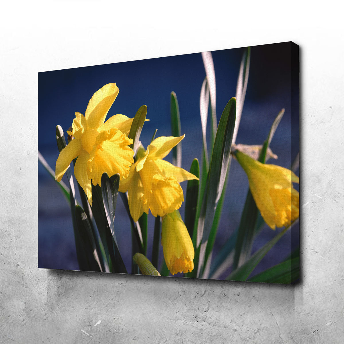 Gorgeous Spring Bloom Wall Art by Shaun Mayer