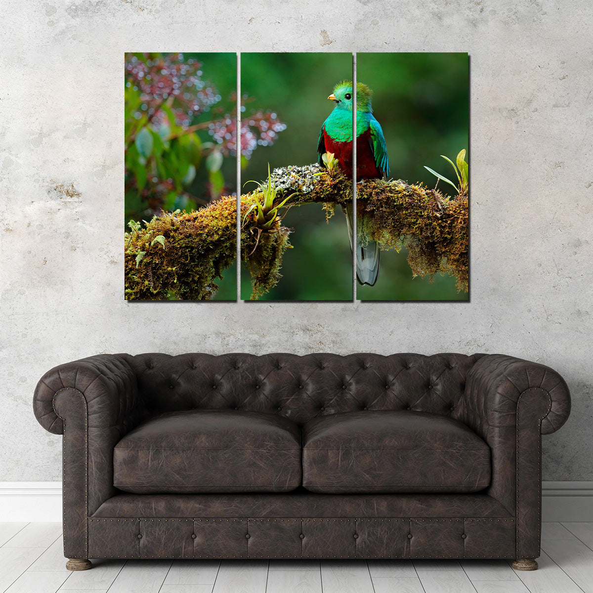 Stunning Resplendent Quetzal Wall Art for a Captivating Home Decor