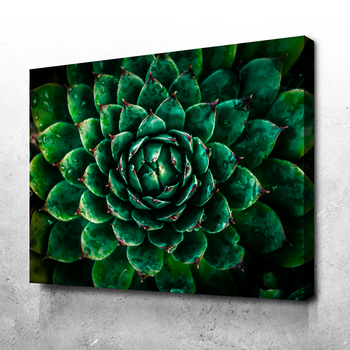 Stunning Green Wall Art by Manuel Luces