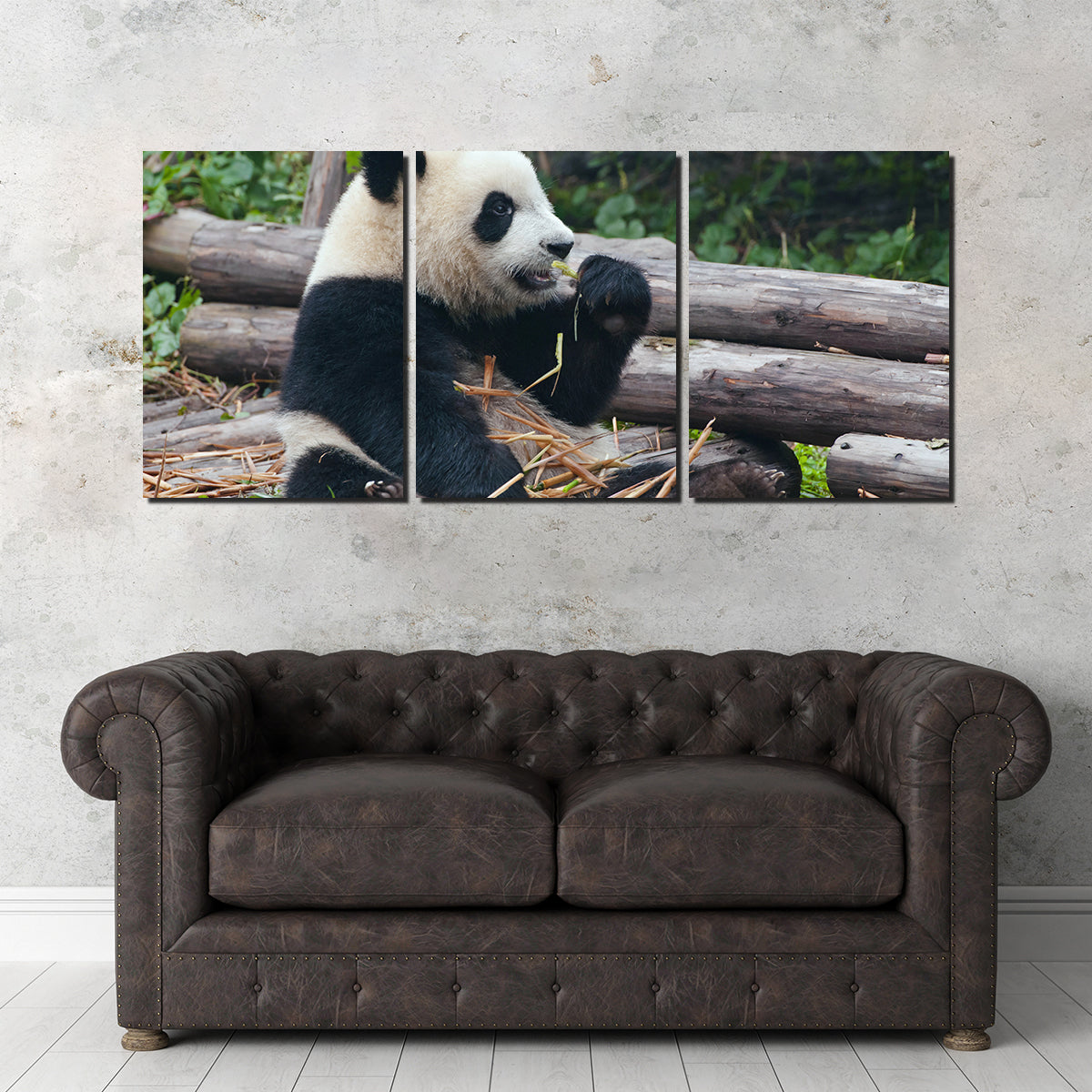 Adorable Panda Bear Eating Bamboo Wall Art for Home Decor