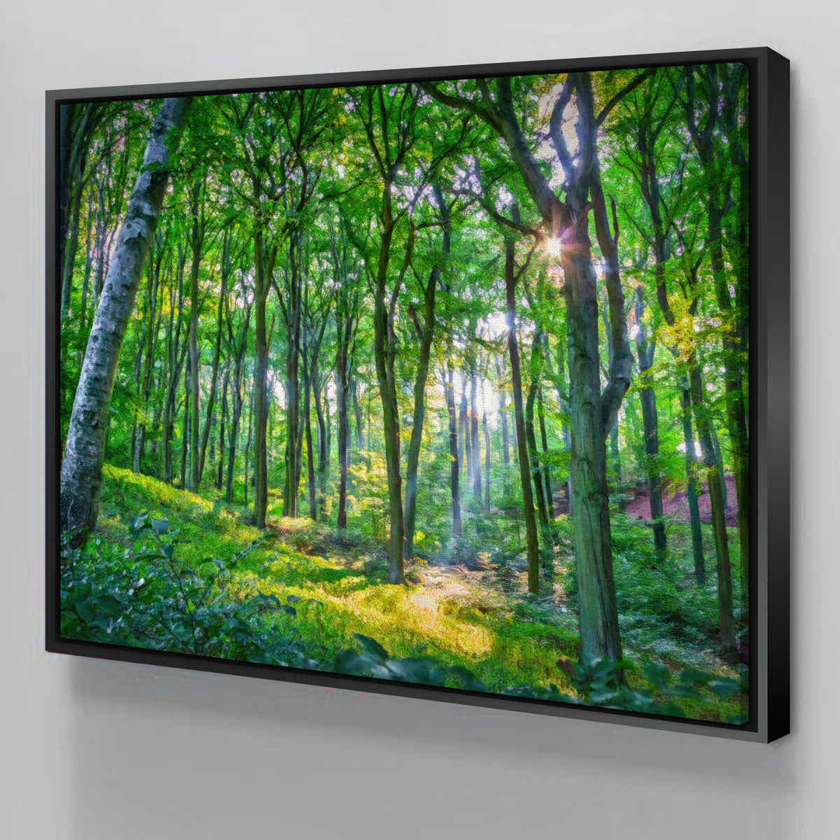 Gorgeous Emerald Forest Wall Art by Denise Dundon
