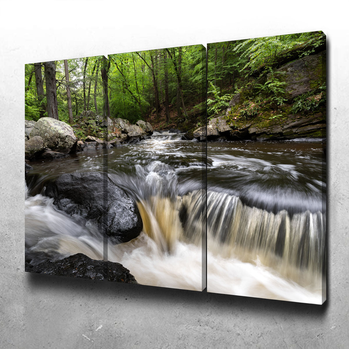 Stunning Summer Black River Wall Art for Home Decor