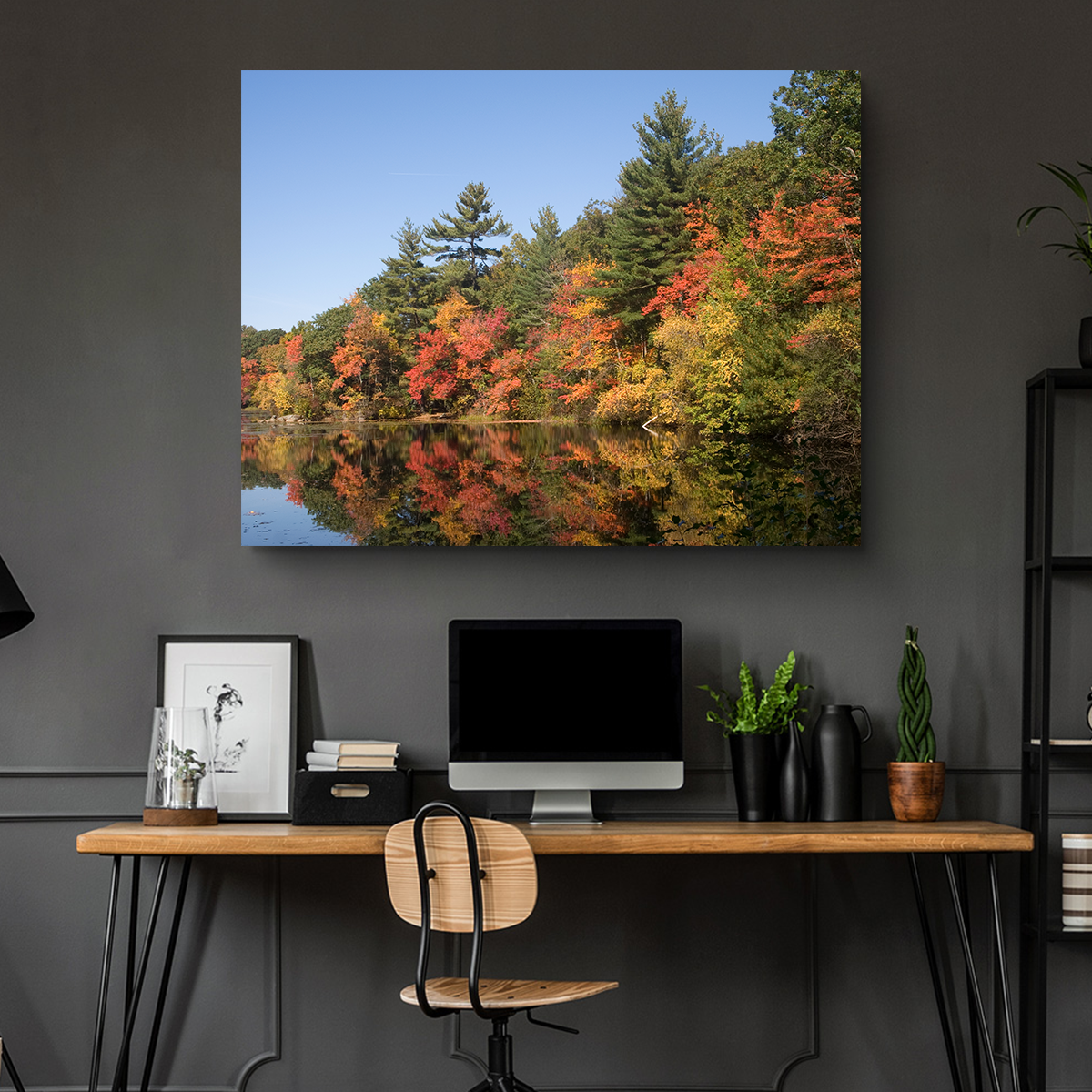 Stunning Harold Parker State Park Wall Art for Home Decor