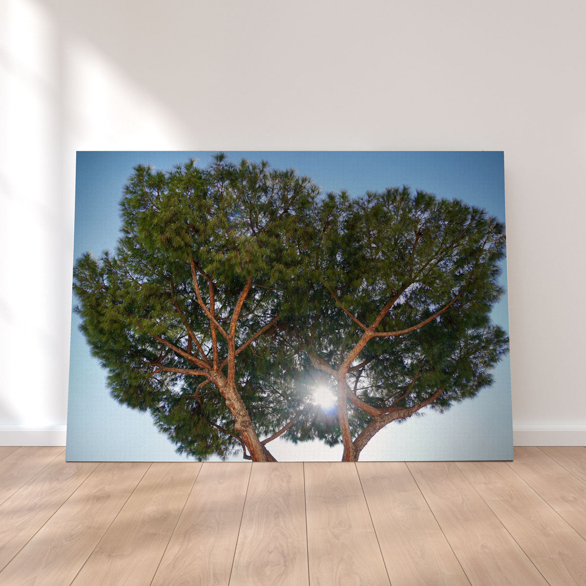 Exquisite Rome, Italy Wall Art by David Campbell