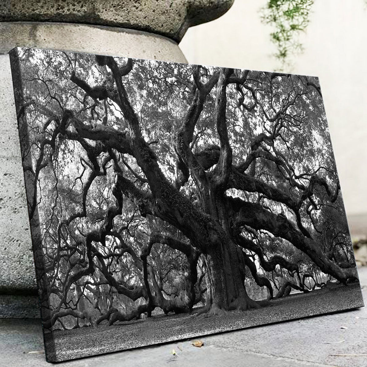 Stunning Charleston Angel Oak V2 Wall Art for Home Decor